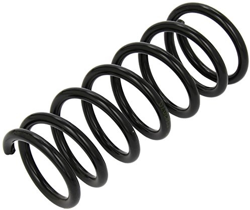 lesjofers 4262025 Coil Spring Rear