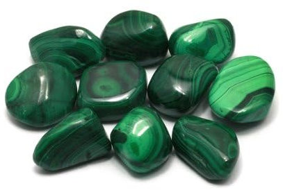 GeoFossils Malachite Tumble Stone (20-25mm) - Single Stone