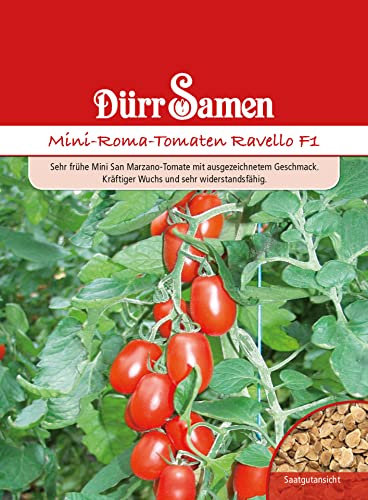 Mini Romana Tomaten Samen Ravello F1 Tomatensamen Rote Tomaten ca 8 Korn Saatgut Robust Ertragreich Garten Hochbeet Kübel Dürr Samen