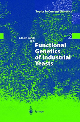 Functional Genetics of Industrial Yeasts (Topics in Current Genetics Book 2) (English Edition)
