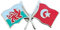 Anstecknadel mit Wales- und Türkei-Flaggen, Emaille, T785