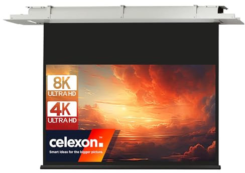 celexon Expert Deckeneinbau-Motor-Leinwand 135 | 300x169 cm 16:9 | elektrische 8K, Full-HD Einbauinstallation für Ihre Beamer-Projektionen | zur Integration in die Zimmerdecke | inkl. Wandschalter