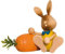 Stupsi Hase mit Möhre