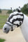 Bucas Buzz-Off Fly Mask - zebra - Fliegenmaske, Groesse:XXS
