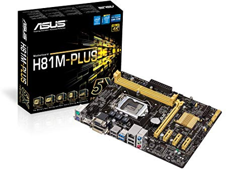 Asus H81M-PLUS schede madri P