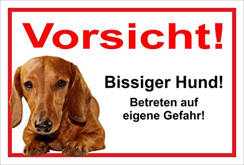 Melis-Folienwerkstatt Schild Warnschild Dackel Vorsicht freilaufender Hund – Achtung Bissiger Hund – 20x30cm – S24B