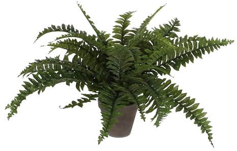 Mica decorations Boston Farn Kunstpflanze - h42xd50cm