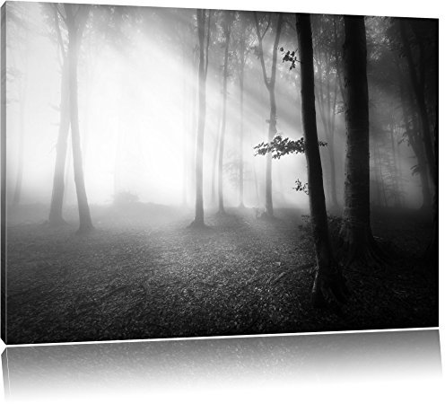 Pixxprint Düsterer Wald im Nebel B&W, Größe: 80x60cm, Leinwandbild, fertig gespannt, Wandbild, Dekoration, Kunstdruck, kein Poster