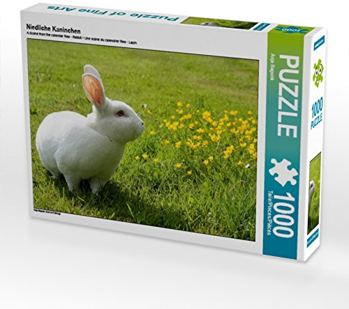 CALVENDO Puzzle Niedliche Kaninchen | 1000 Teile Lege-Größe 64 x 48 cm Foto-Puzzle für glückliche Stunden