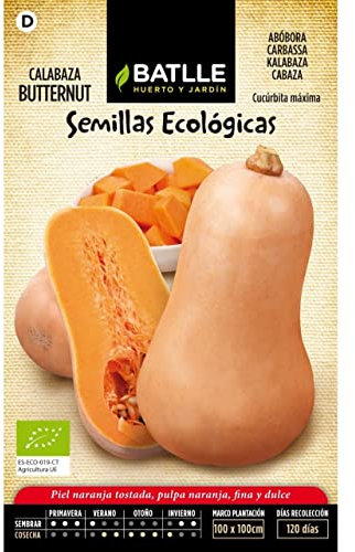 Semillas Batlle Calabaza Butternut - ECO