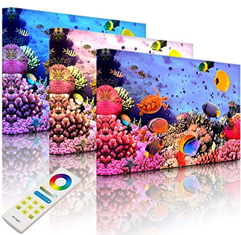 Lightbox-Multicolor | LED Bild Leuchtbild | Bunte Fische über Korallenriff | 100x70 cm | Fully Lighted