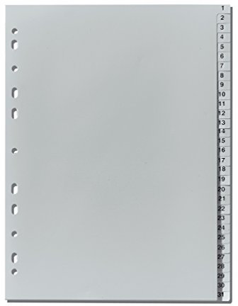 herlitz Register A4 1-31, Grau, 23 x 29,7 cm, Kunststoff, Eurolochung