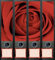 File Art AJ416 Design Etiketten Ordnerrückenschilder