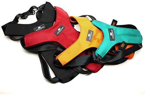 Sleepypod Hunde-Sicherheitsgurtgeschirr CS-ORD-L Clickit Sport, L, orange Dream