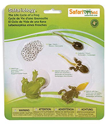 Safari Ltd. 269129 Lebenszyklus eines Froschs, Frosch