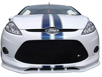 Zunsport Kompatibel mit Ford Fiesta MK VII – vorderer Grill, schwarz (2008 bis 2012)