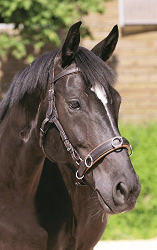 Barefoot Contour Physio Kopfstück 2‑in‑1 braun – anatomisch geformt – Y‑Backen und gepolstertes Genickstück – individuell anpassbar – gebisslos & mit Gebiss nutzbar – ohne Nasenriemen/Gebiss – COB