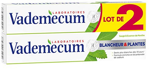 Vademecum Laboratoires Blancheur & Plantes - salvia y esencia de menta (LOTE DE 2)