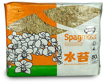 besgrow Muschio di sfagno della Nuova Zelanda (1 chilogrammo), marrone chiaro