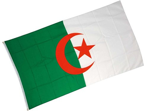 Drapeau Algérien 90x150 cm