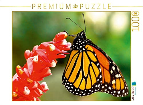 CALVENDO Puzzle Wanderrekordhalter - Der Monarchfalter | 1000 Teile Lege-Größe 64 x 48 cm Foto-Puzzle für glückliche Stunden