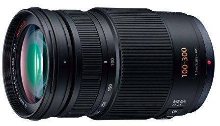 Panasonic LUMIX G VARIO 100-300mm F4.0-5.6 MEGA O.I.S H-FS100300