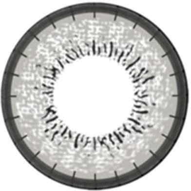 Matlens – EOS Farbige Kontaktlinsen mit Stärke circle lenses gray grau J-203 2 Linsen 1 Kontaktlinsenbehälter 1 Pflegemittel 50ml