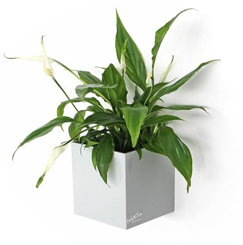 KalaMitica Cubo, Maceta Magnética, Ø 9 cm, Hielo