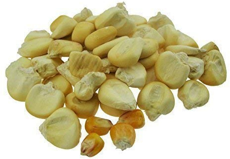 CommonBaits MEGA MAIS 2,5Kg XXL Giant Riesenmais