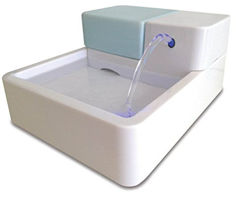 Fontaine à eau automatique à LED avec filtre à charbon et eau circulante pour animaux domestiques