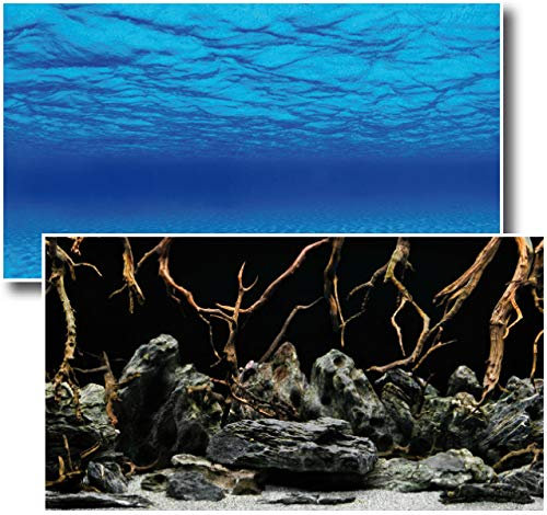 Amtra Deko Fotorückwand Mystic beidseitig bedruckt 120x60cm 2in1 Rückwandposter Rückwand Folie Aquarien Poster Foto Folien