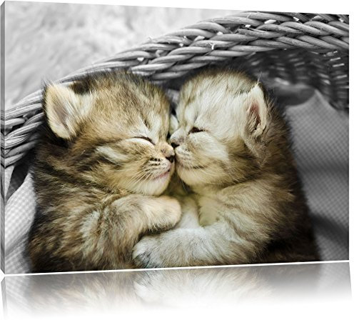 Pixxprint Zwei süße Babykatzen im Korb B&W, Größe: 60x40cm, Leinwandbild, fertig gespannt, Wandbild, Dekoration, Kunstdruck, kein Poster