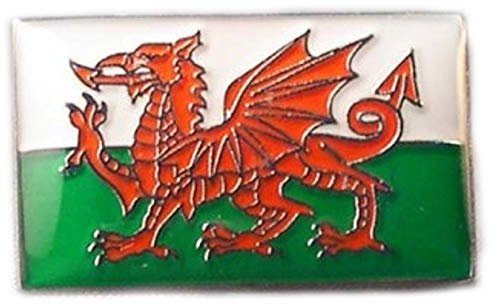Emaille-Anstecker aus Metall, Motiv: Walisische Flagge, Saint David´s Tag