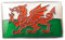 Mainly Metal Enamel Pin Badge Wales Dragon Welsh Flag Saint David Baner Cymru