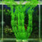 RuiChy - Erba/pianta di plastica da paesaggio acquatico per acquario, alta 30 cm, verde, Style-12, Plant