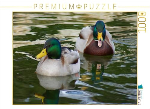 CALVENDO Puzzle Stockenten Erpel | 1000 Teile Lege-Größe 64 x 48 cm Foto-Puzzle für glückliche Stunden