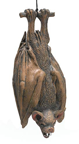 Bristol Novelty HI124 Hanging Bat, Brown, One Size