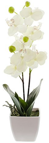 FRANK FLECHTWAREN Kunstblume, Kunstpflanze Orchidee im Topf ca. Höhe 40 cm
