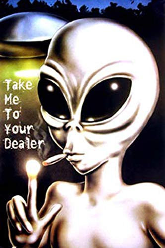 Aliens - Take Me to Your Dealer II - Poster ausserirdischer Alien kiffend UFO - Grösse cm