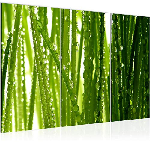 Runa Art Herbes Rosée Du Matin Peinture Tableau Salon XXL Vert La Nature 120 x 80 cm 3 Parties Decoration Murale 200731a