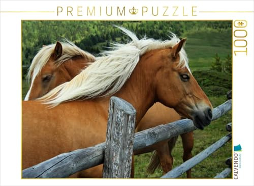 CALVENDO Puzzle EIN Motiv aus dem Kalender Pferde - Hobby und Leidenschaft | 1000 Teile Lege-Größe 64 x 48 cm Foto-Puzzle für glückliche Stunden