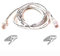 Belkin CAT5e Netzwerkkabel weiss, 30m