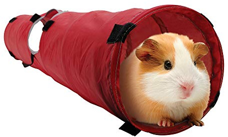 Living World Pet Tunnel, Red/Grey