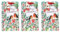 Pack of 3 Christmas Double Bottle Gift Bags with Handle and Tag