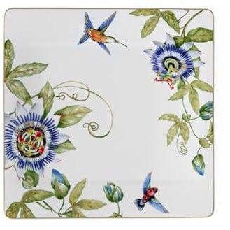 Villeroy & Boch 10-3514-2680 Amazonia Gourmetteller, Porzellan