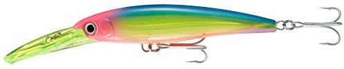 Rapala - X-Rap Magnum Angelköder - Angelzubehör mit großer Tauchschaufel - Salzwasser Spinnköder- Lauftiefe 9m - Fischköder 16cm, 72g - Hergestellt in Estland - Blue Bonito