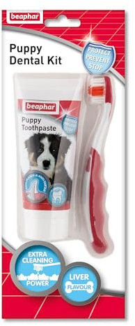 Beaphar | Toothbrush & Toothpaste Dental Care Kit Puppies | Includes A Small-Headed Toothbrush And Liver-Flavoured Enzymatic Toothpaste, 50g Tube