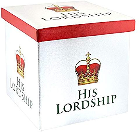 LEONARDO His Lordship Folding Storage Box, Plastic, Multi-Colour