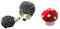 CJESLNA Miniatur-Gartenfigur Igel & Pilz Set