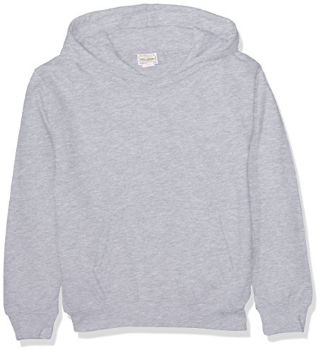 AWDis Boy's Kids Hoodie, Grey (Heather Grey), Small